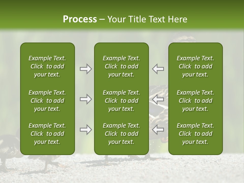 A Mother Duck With Her Ducklings Powerpoint Template PowerPoint Template