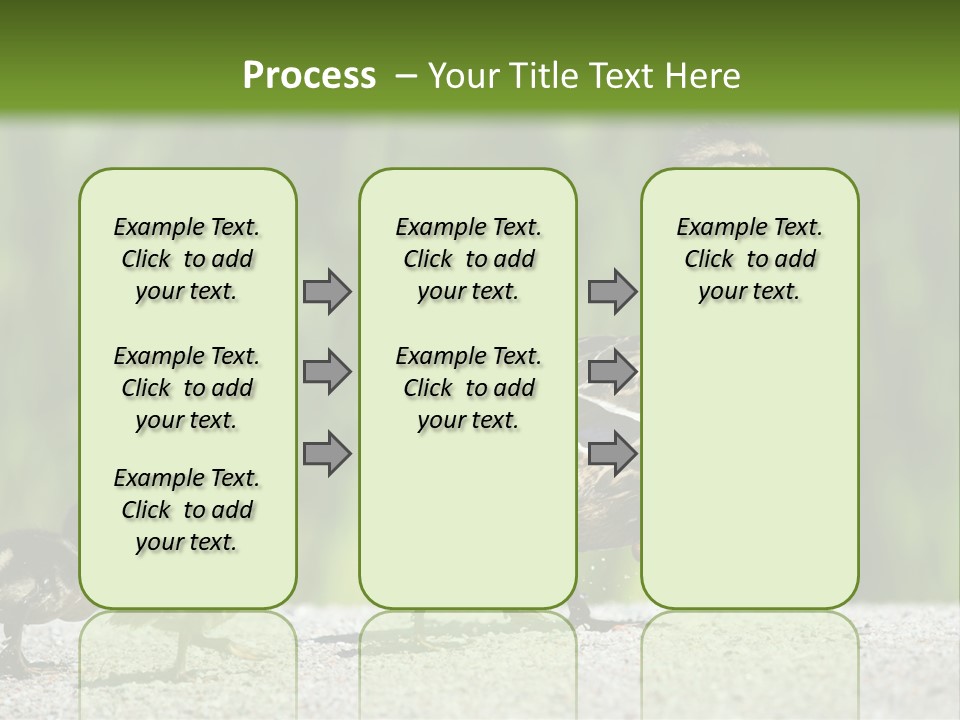 A Mother Duck With Her Ducklings Powerpoint Template PowerPoint Template