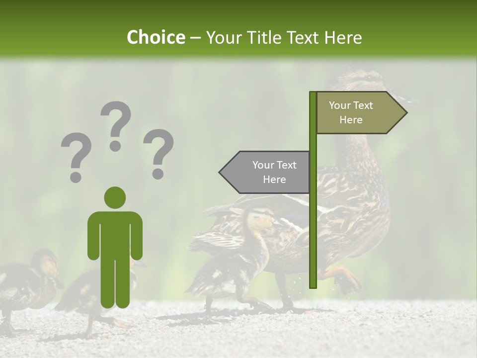 A Mother Duck With Her Ducklings Powerpoint Template PowerPoint Template
