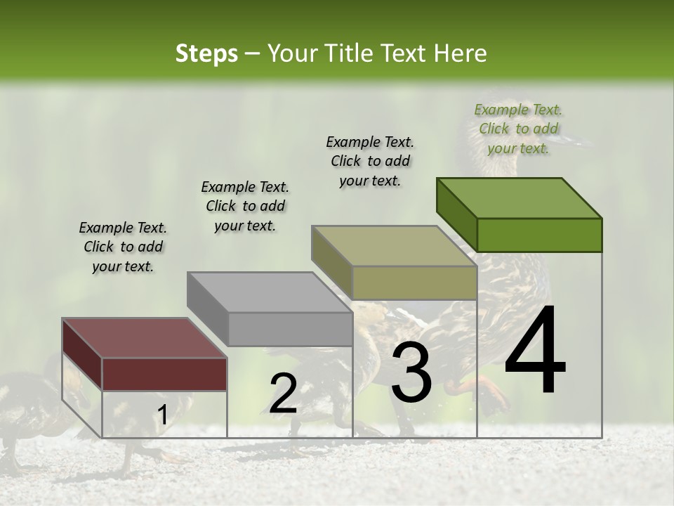 A Mother Duck With Her Ducklings Powerpoint Template PowerPoint Template
