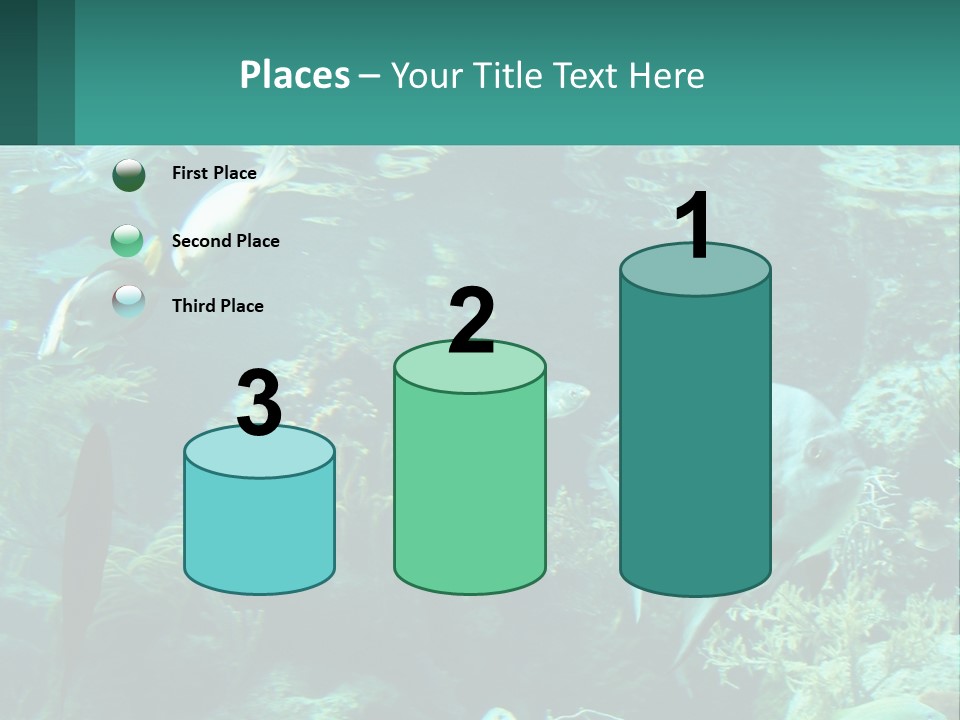 A Group Of Fish Swimming In A Large Aquarium PowerPoint Template