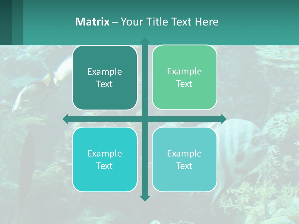 A Group Of Fish Swimming In A Large Aquarium PowerPoint Template