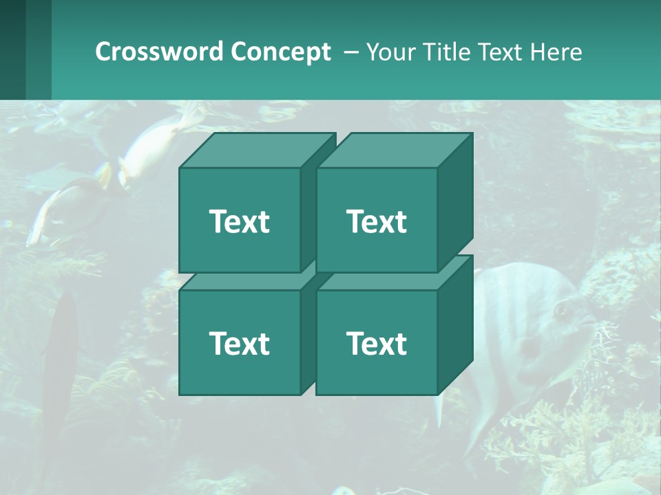 A Group Of Fish Swimming In A Large Aquarium PowerPoint Template