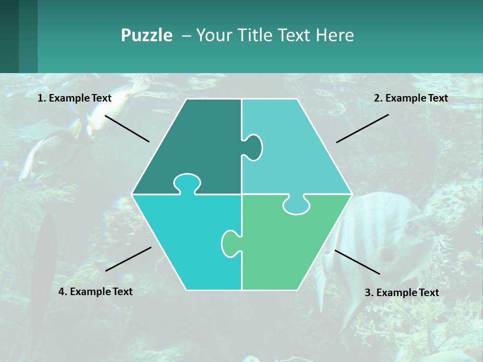 A Group Of Fish Swimming In A Large Aquarium PowerPoint Template