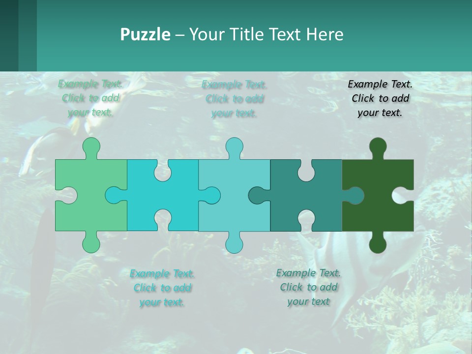 A Group Of Fish Swimming In A Large Aquarium PowerPoint Template