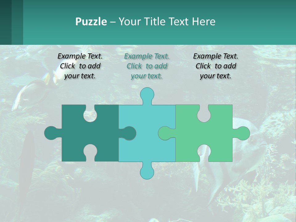 A Group Of Fish Swimming In A Large Aquarium PowerPoint Template