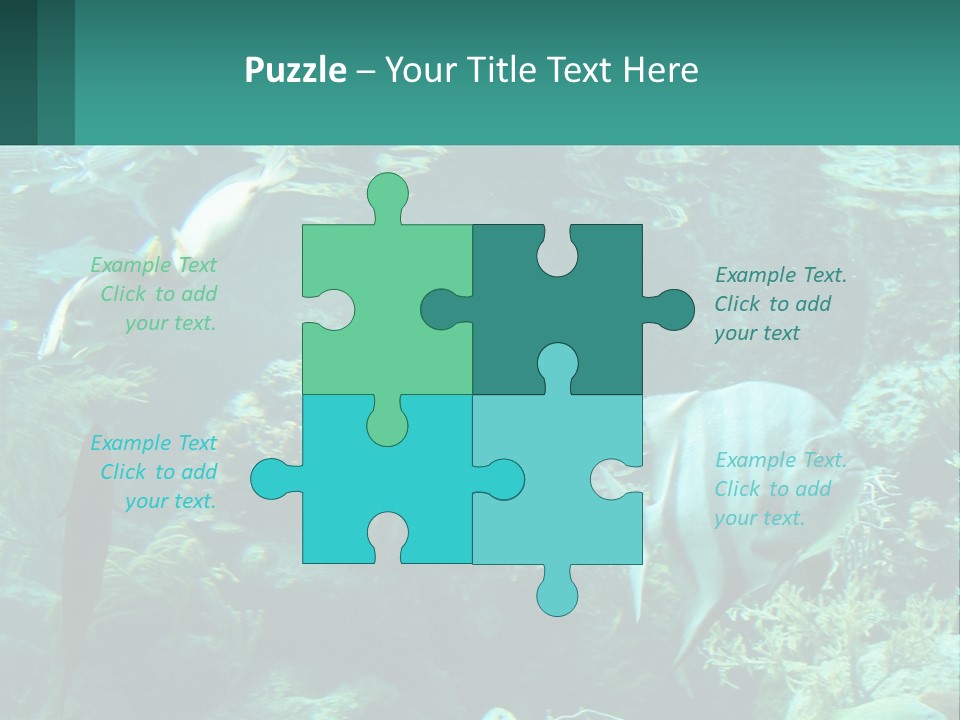 A Group Of Fish Swimming In A Large Aquarium PowerPoint Template