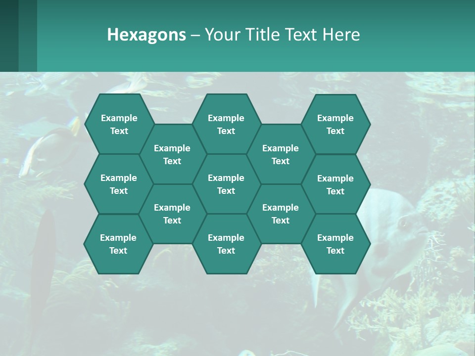 A Group Of Fish Swimming In A Large Aquarium PowerPoint Template