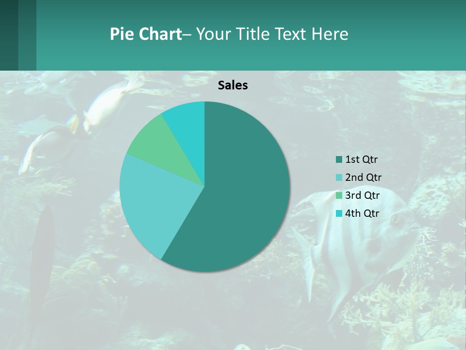 A Group Of Fish Swimming In A Large Aquarium PowerPoint Template