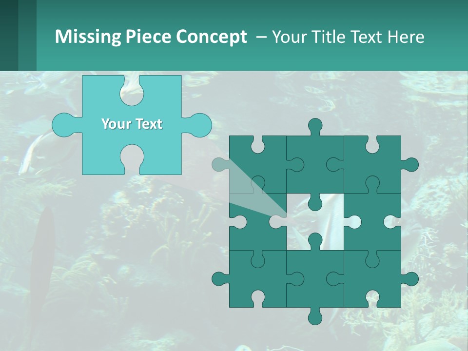 A Group Of Fish Swimming In A Large Aquarium PowerPoint Template