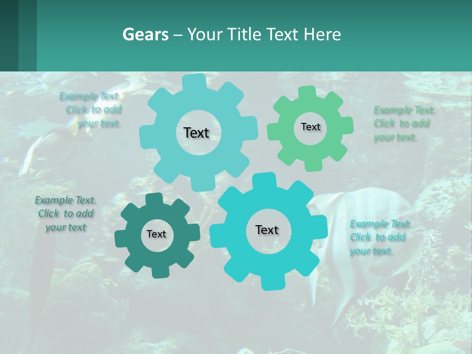 A Group Of Fish Swimming In A Large Aquarium PowerPoint Template