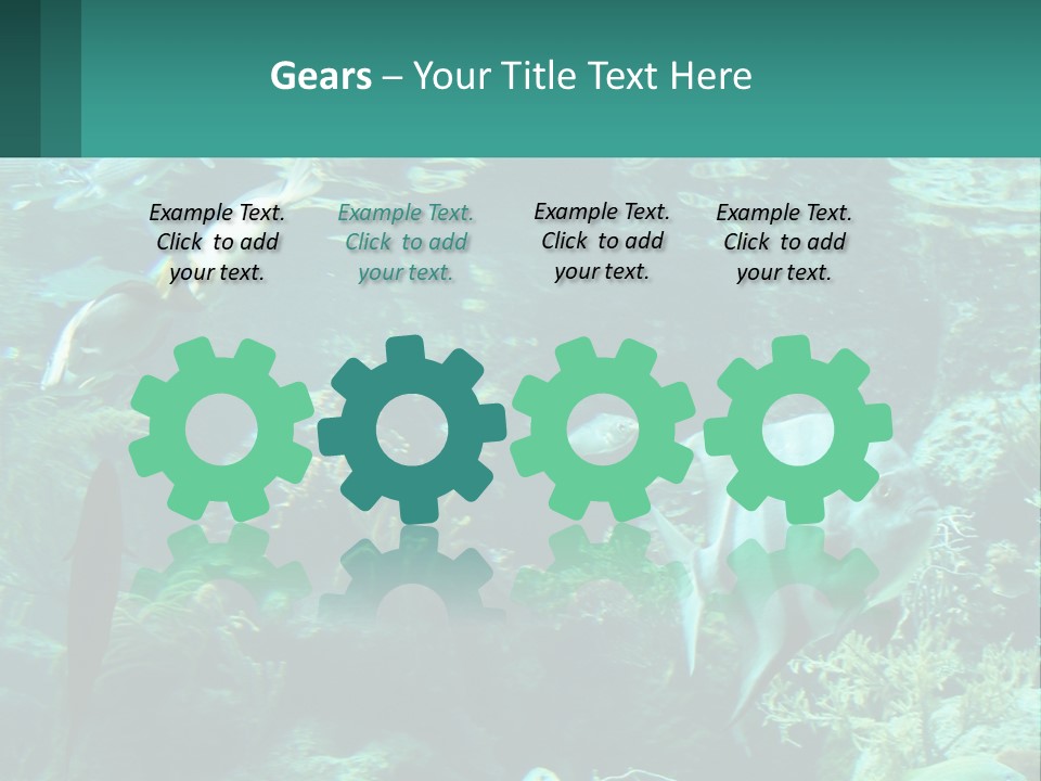 A Group Of Fish Swimming In A Large Aquarium PowerPoint Template