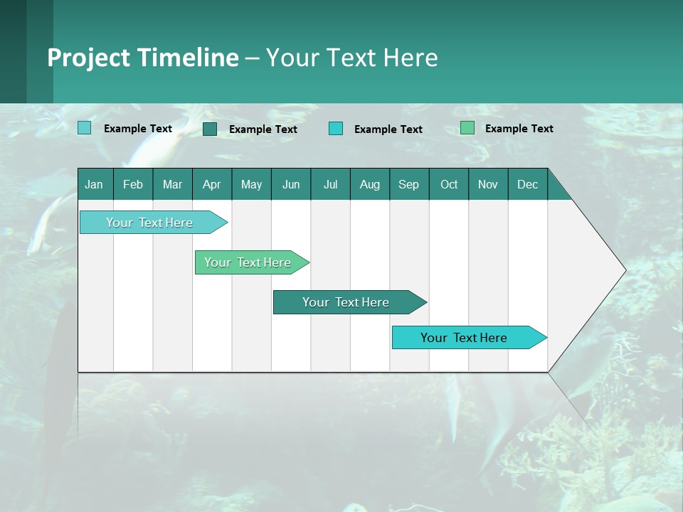A Group Of Fish Swimming In A Large Aquarium PowerPoint Template