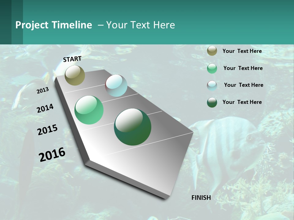 A Group Of Fish Swimming In A Large Aquarium PowerPoint Template