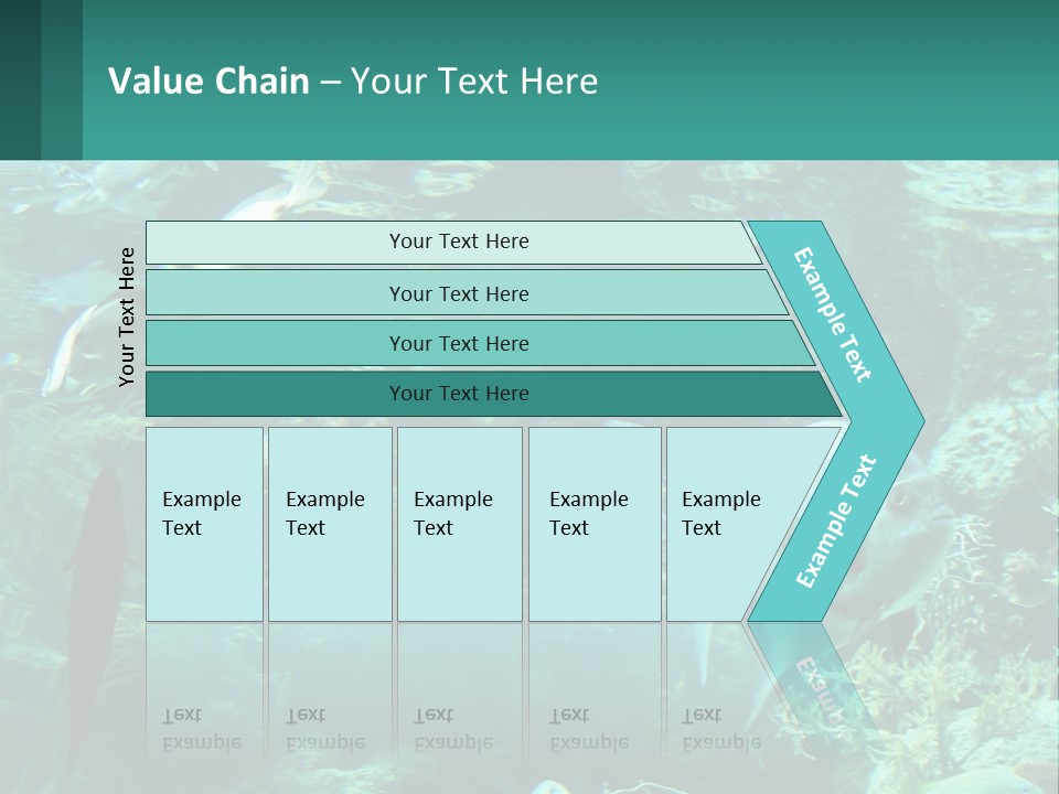 A Group Of Fish Swimming In A Large Aquarium PowerPoint Template