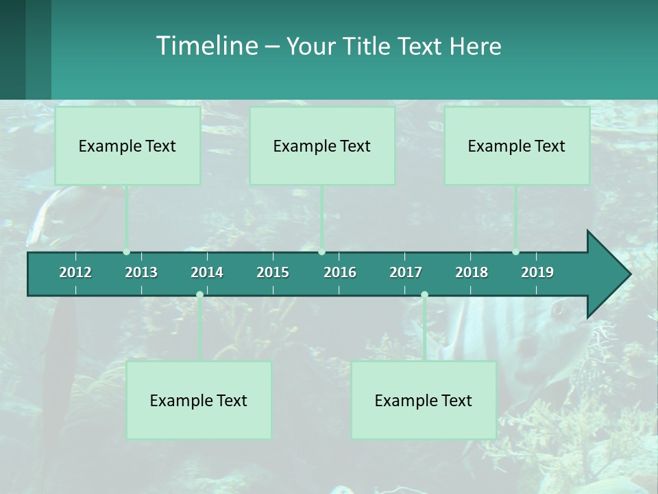 A Group Of Fish Swimming In A Large Aquarium PowerPoint Template