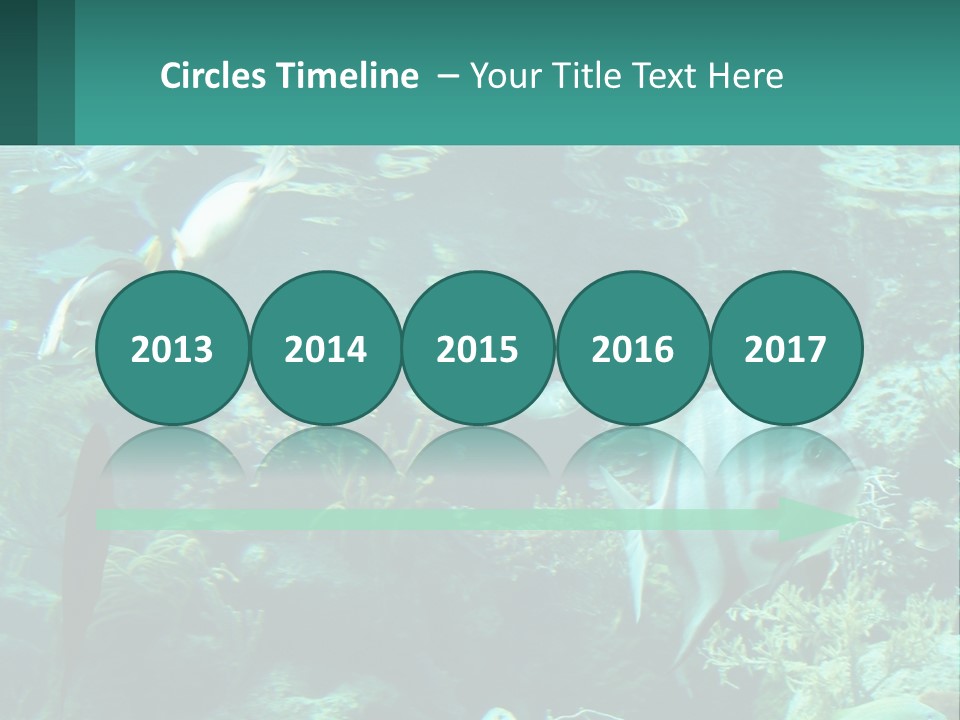 A Group Of Fish Swimming In A Large Aquarium PowerPoint Template