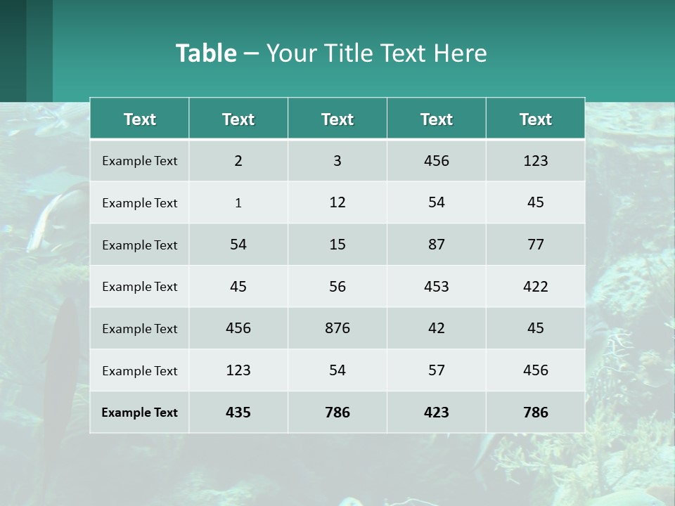 A Group Of Fish Swimming In A Large Aquarium PowerPoint Template