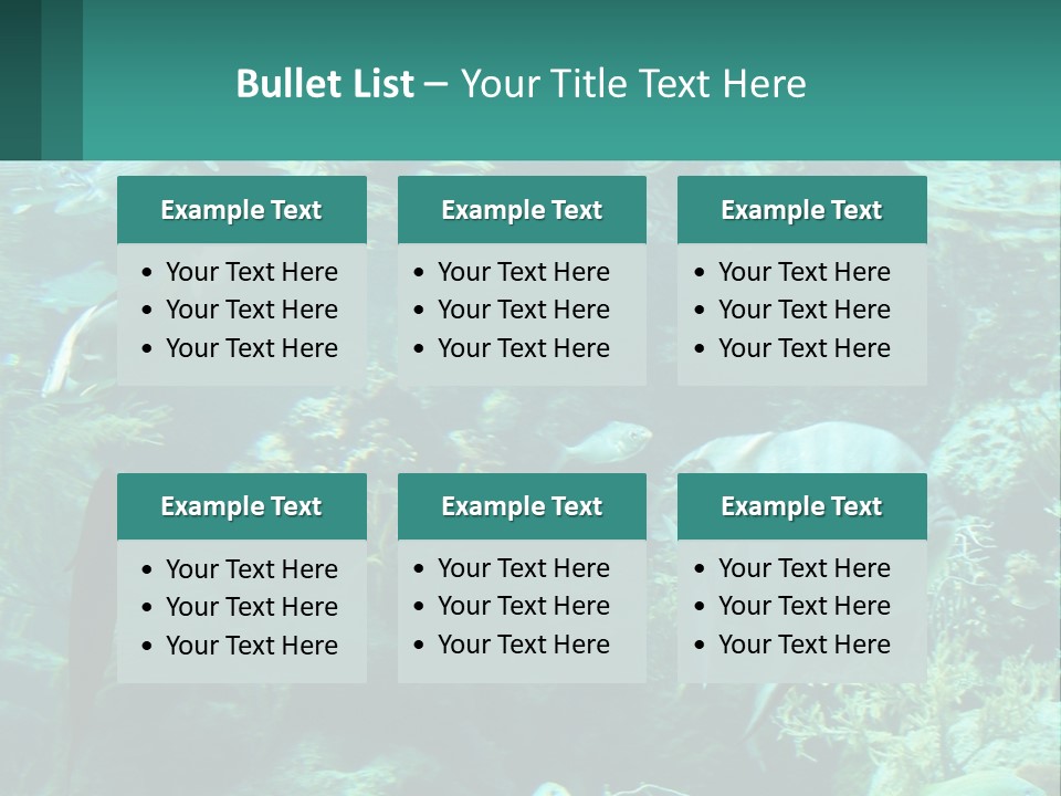 A Group Of Fish Swimming In A Large Aquarium PowerPoint Template