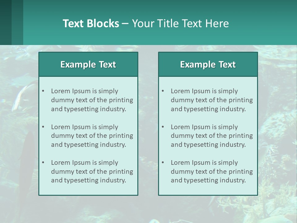 A Group Of Fish Swimming In A Large Aquarium PowerPoint Template