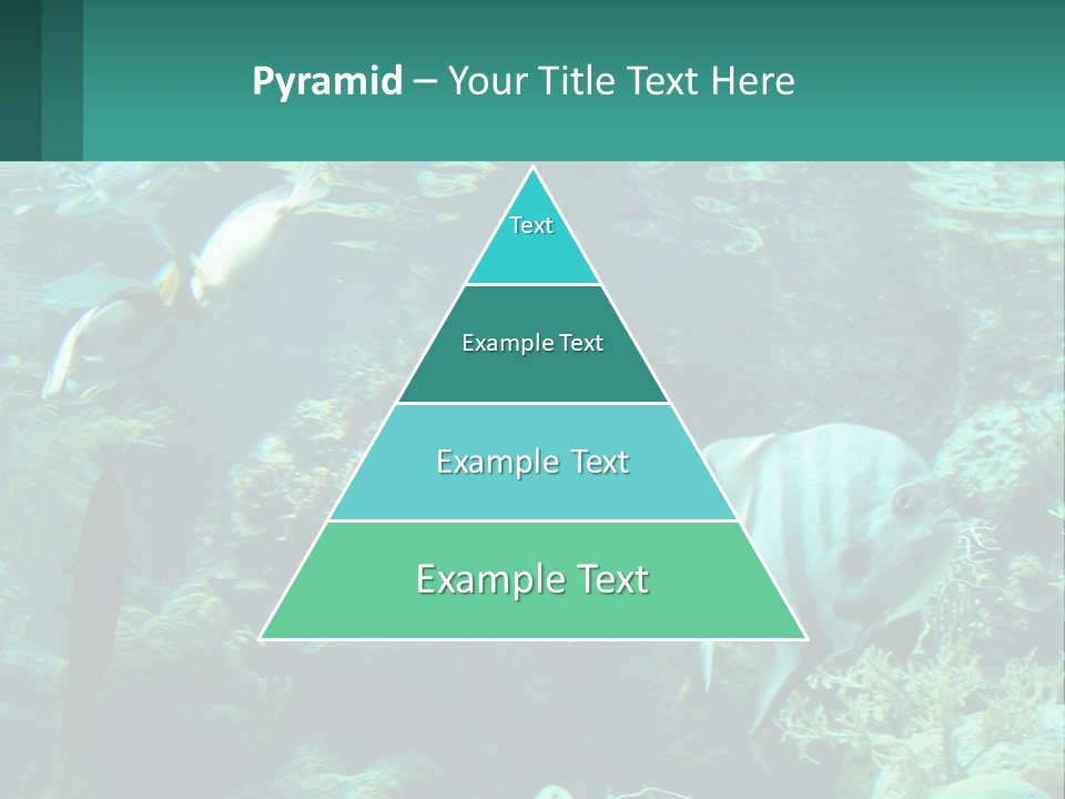 A Group Of Fish Swimming In A Large Aquarium PowerPoint Template