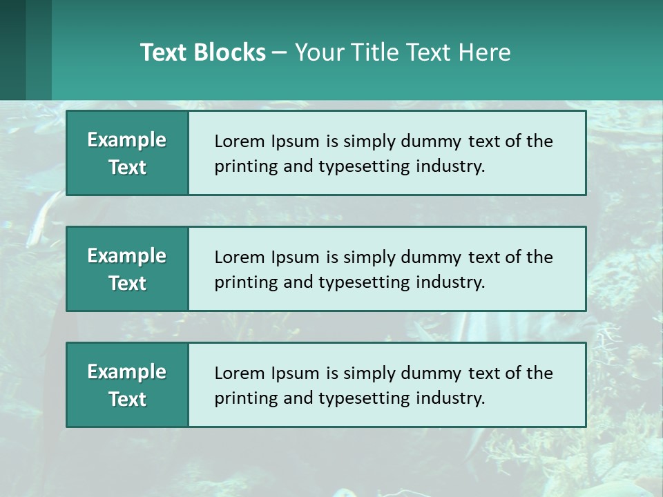 A Group Of Fish Swimming In A Large Aquarium PowerPoint Template