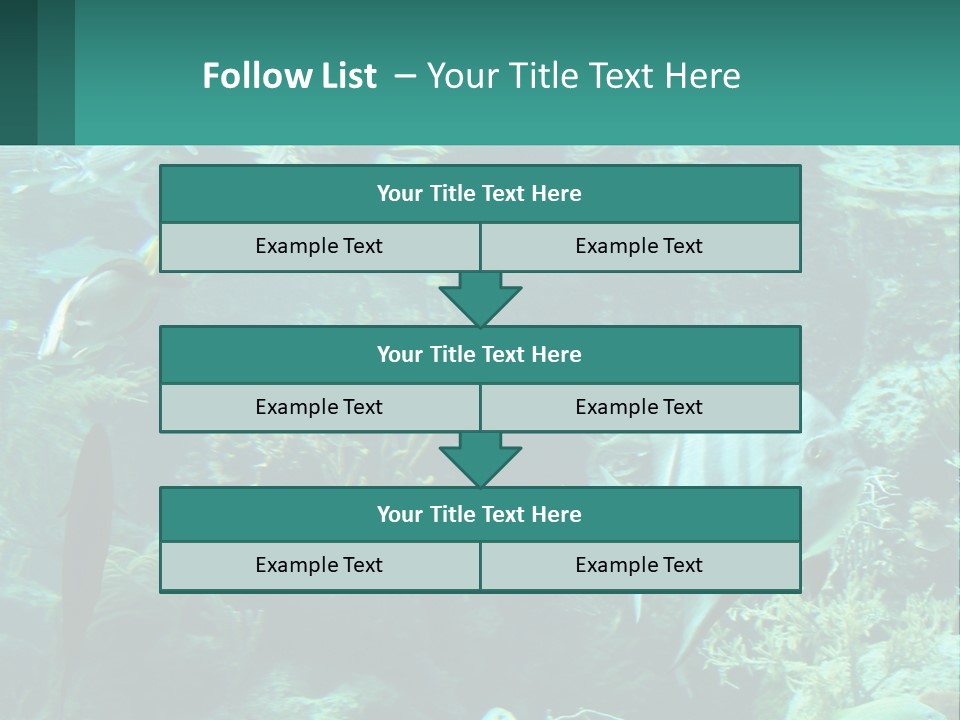 A Group Of Fish Swimming In A Large Aquarium PowerPoint Template