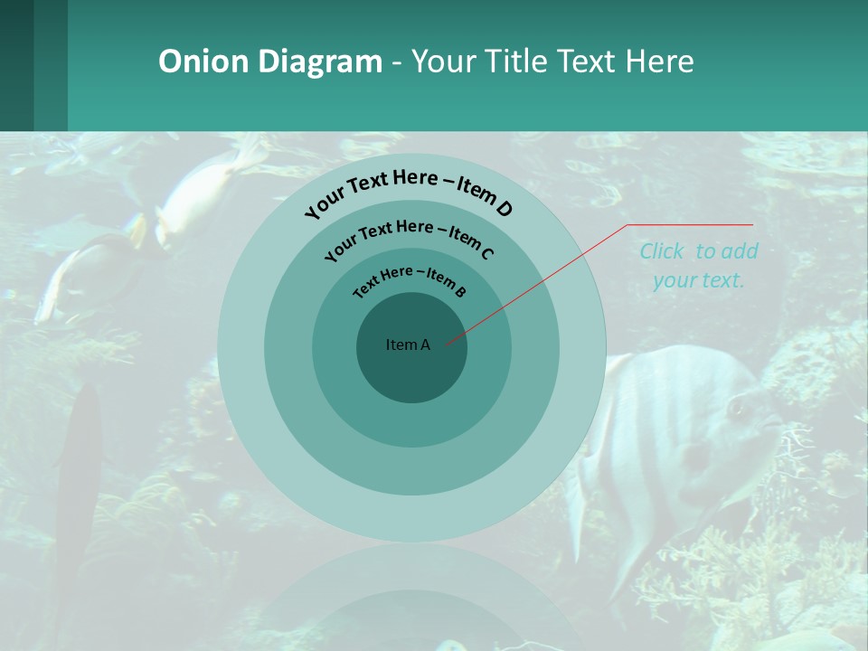 A Group Of Fish Swimming In A Large Aquarium PowerPoint Template