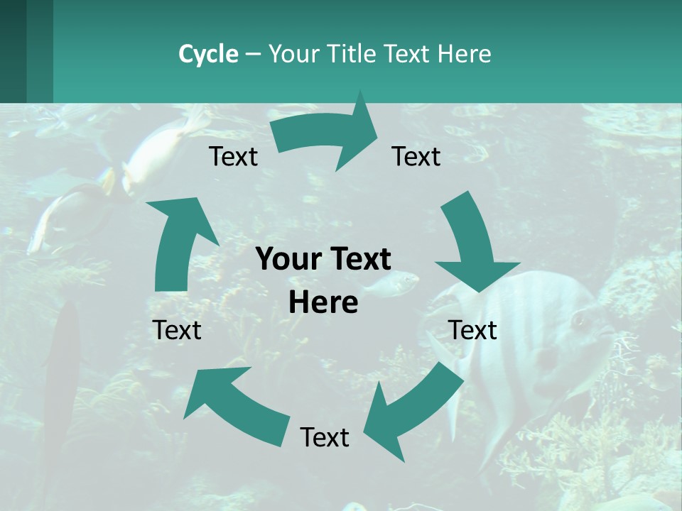 A Group Of Fish Swimming In A Large Aquarium PowerPoint Template