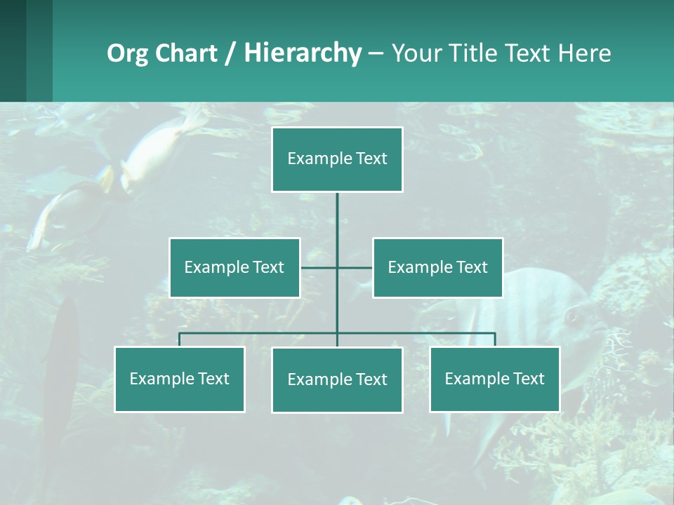 A Group Of Fish Swimming In A Large Aquarium PowerPoint Template