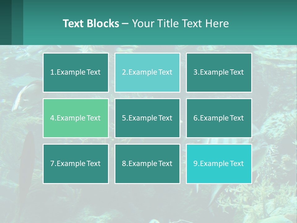 A Group Of Fish Swimming In A Large Aquarium PowerPoint Template