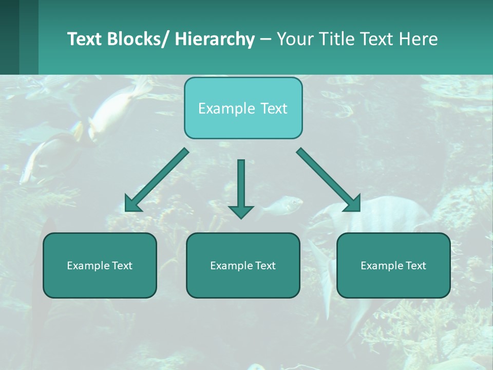 A Group Of Fish Swimming In A Large Aquarium PowerPoint Template