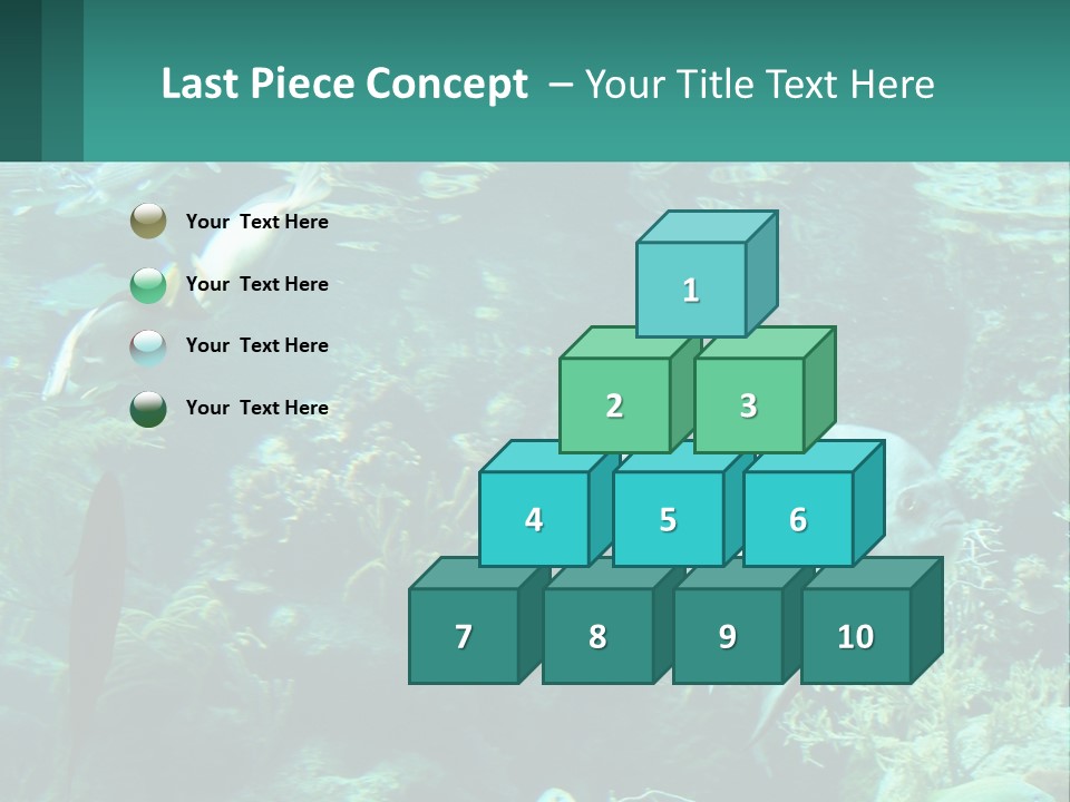 A Group Of Fish Swimming In A Large Aquarium PowerPoint Template