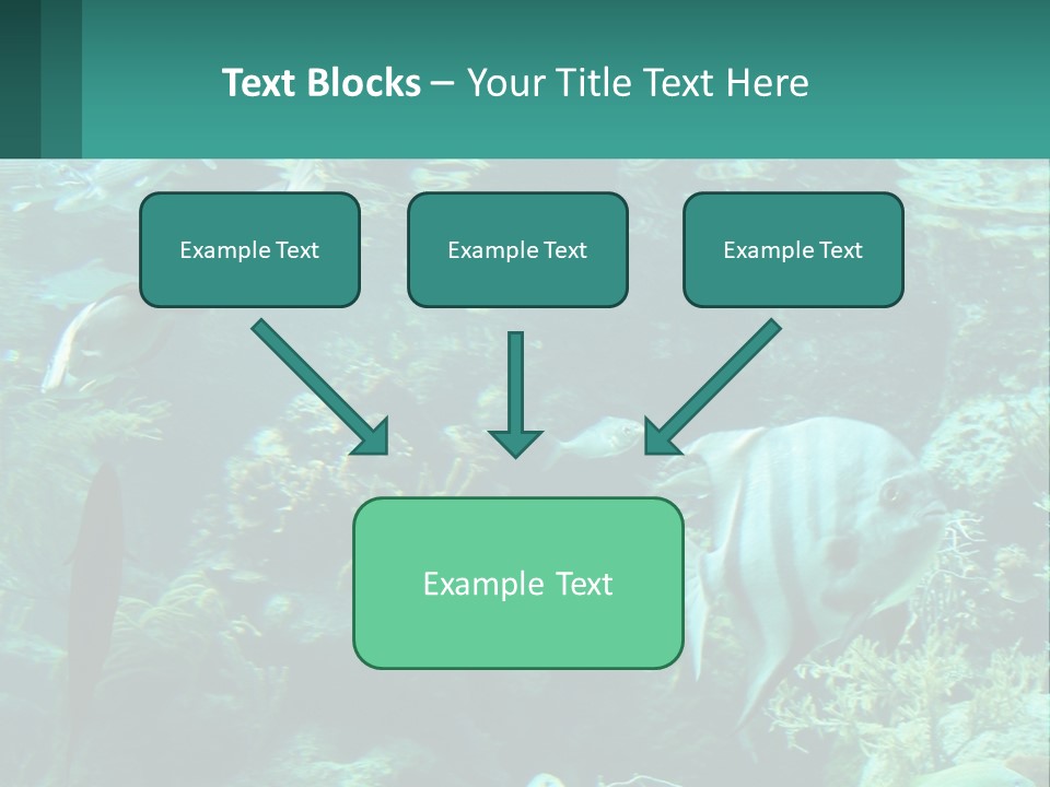 A Group Of Fish Swimming In A Large Aquarium PowerPoint Template