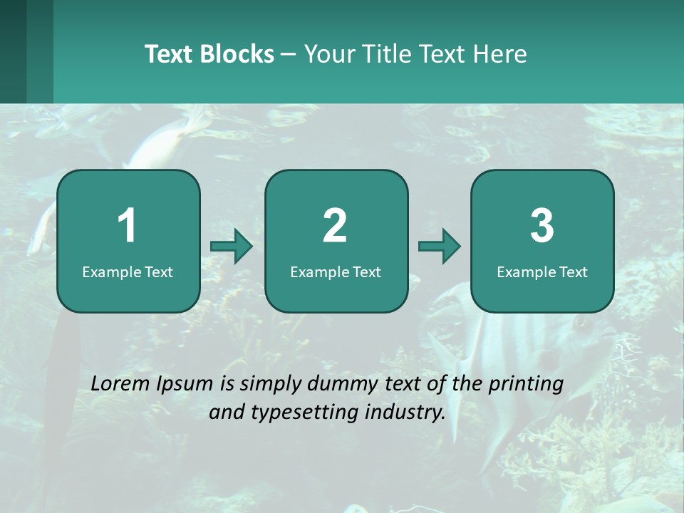 A Group Of Fish Swimming In A Large Aquarium PowerPoint Template