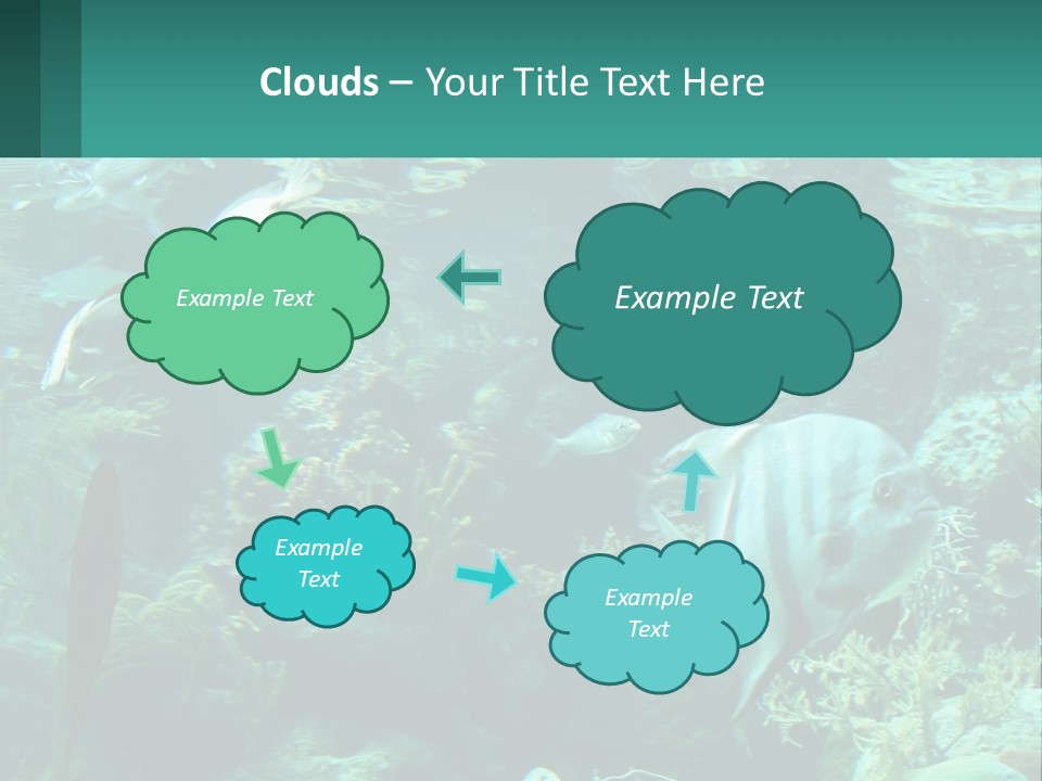 A Group Of Fish Swimming In A Large Aquarium PowerPoint Template