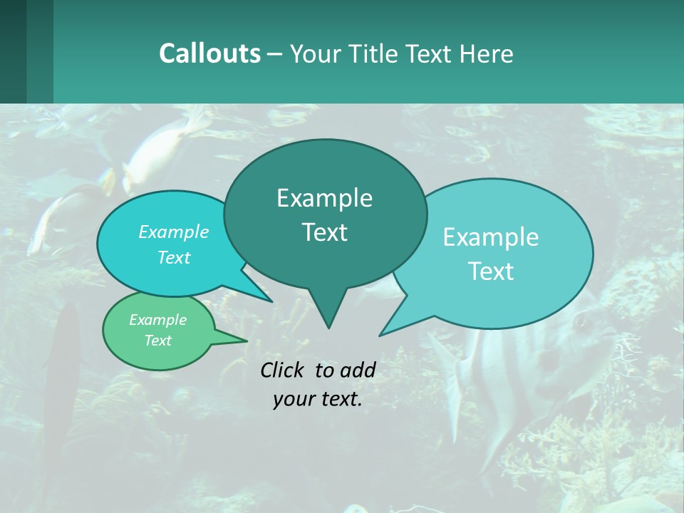 A Group Of Fish Swimming In A Large Aquarium PowerPoint Template