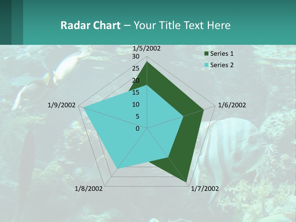 A Group Of Fish Swimming In A Large Aquarium PowerPoint Template