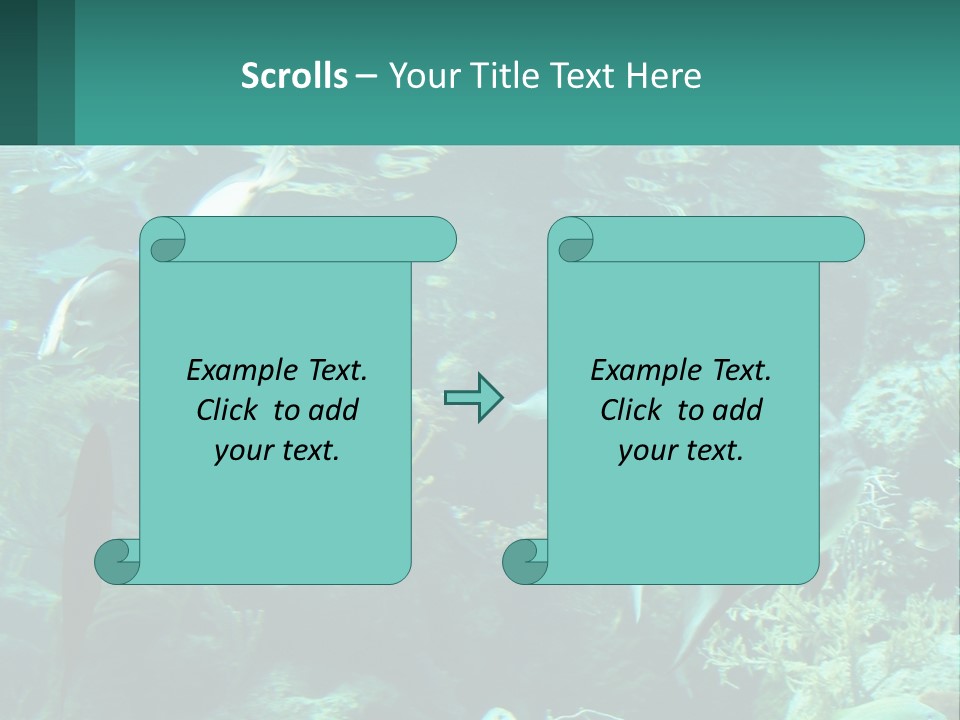 A Group Of Fish Swimming In A Large Aquarium PowerPoint Template