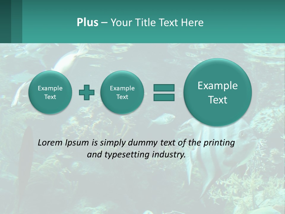 A Group Of Fish Swimming In A Large Aquarium PowerPoint Template