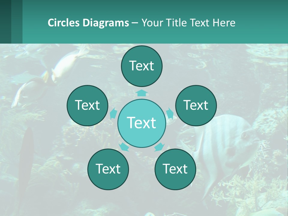 A Group Of Fish Swimming In A Large Aquarium PowerPoint Template