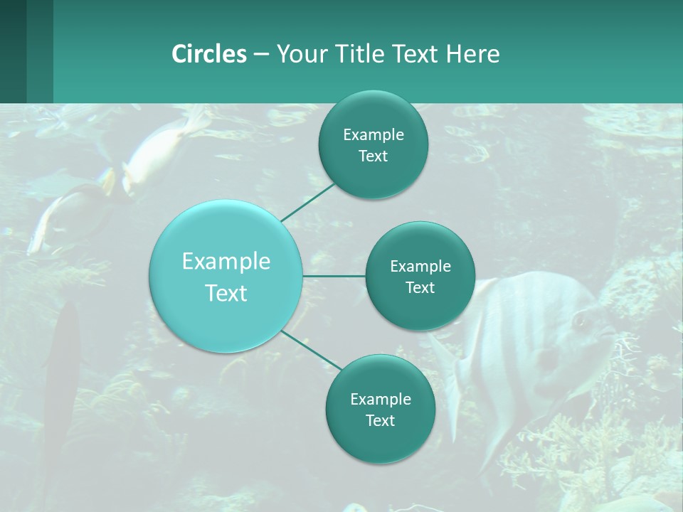 A Group Of Fish Swimming In A Large Aquarium PowerPoint Template