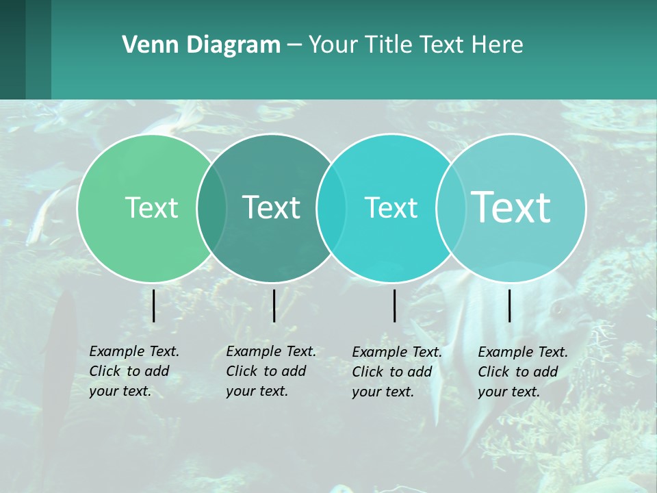 A Group Of Fish Swimming In A Large Aquarium PowerPoint Template