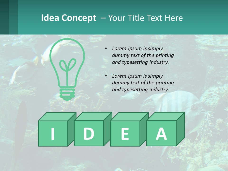 A Group Of Fish Swimming In A Large Aquarium PowerPoint Template