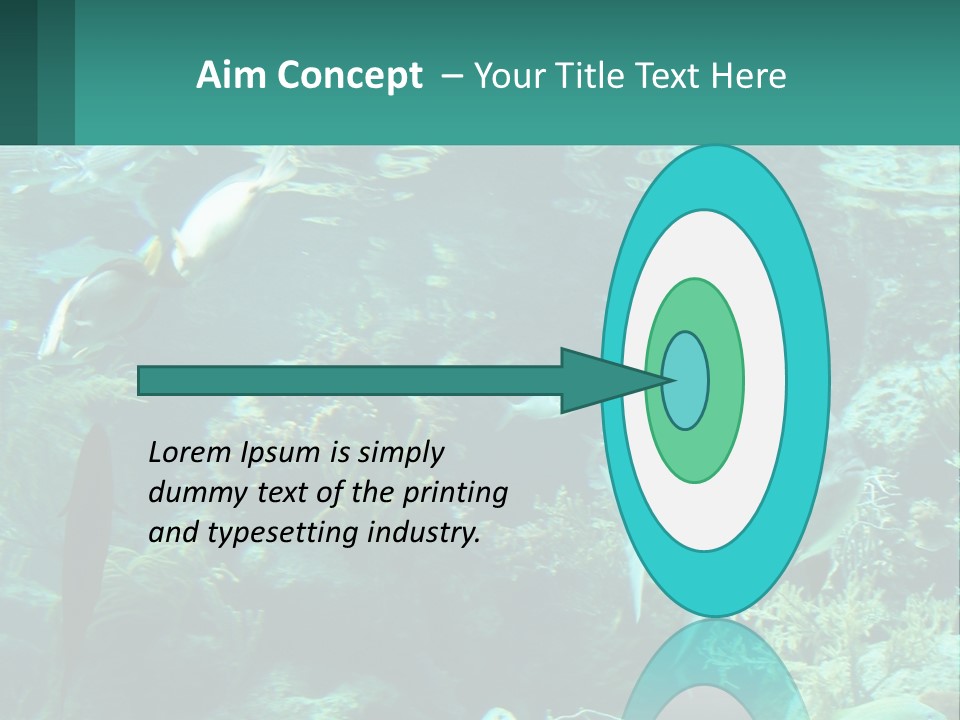 A Group Of Fish Swimming In A Large Aquarium PowerPoint Template