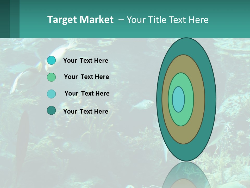 A Group Of Fish Swimming In A Large Aquarium PowerPoint Template