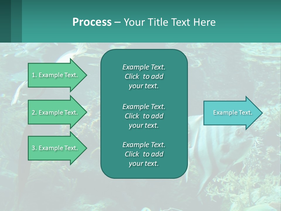 A Group Of Fish Swimming In A Large Aquarium PowerPoint Template