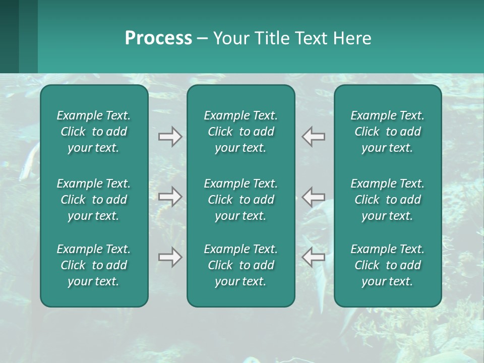 A Group Of Fish Swimming In A Large Aquarium PowerPoint Template