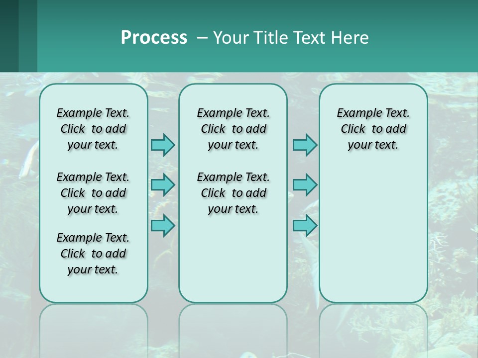A Group Of Fish Swimming In A Large Aquarium PowerPoint Template