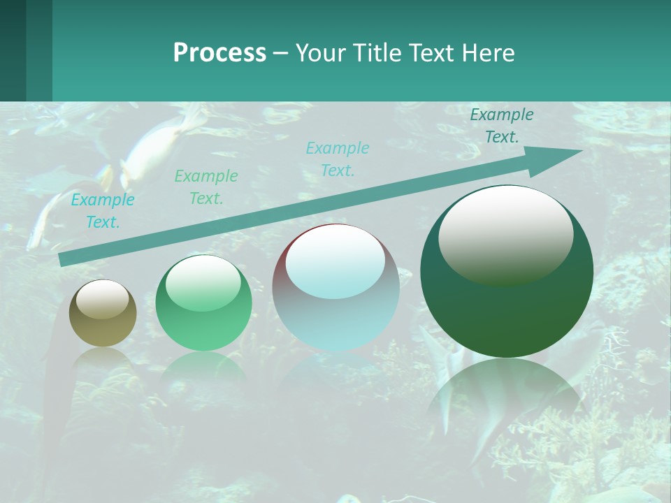 A Group Of Fish Swimming In A Large Aquarium PowerPoint Template